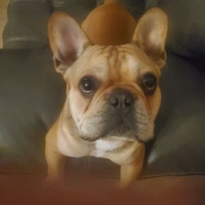 Meet your Posher, Elijah